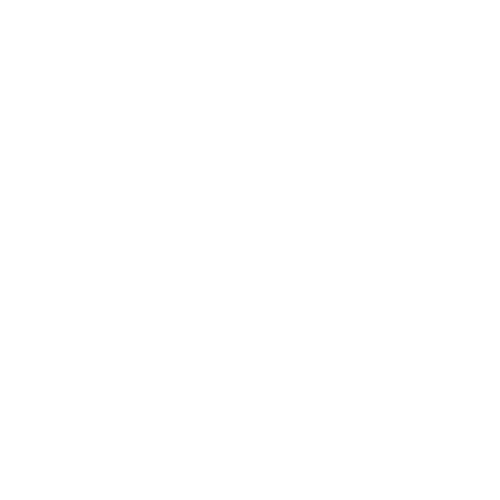 logo light